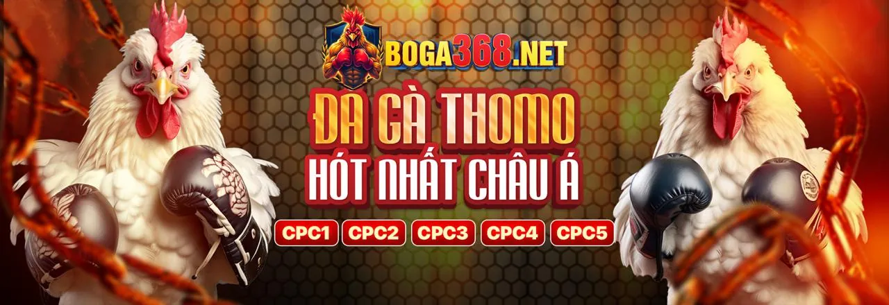 Hỗ trợ khách hàng 96vn